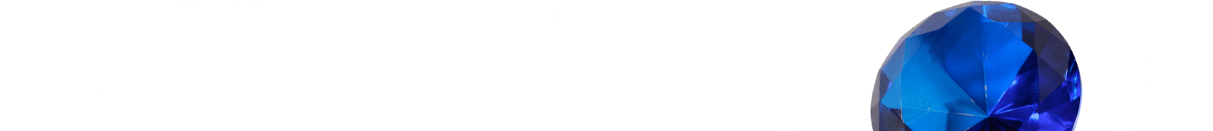 Logo Footer